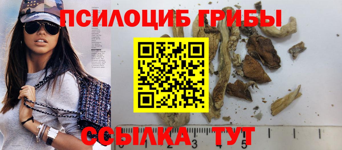 Псилоцибиновые грибы прущие грибы Аша